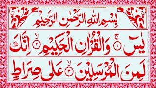 Surah Yaseen  Yasin Sharif  Episode 583  With Arabic Text HD  Read Daily Quran [upl. by Tebzil563]