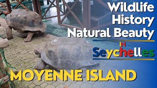 Explore Moyenne Island Seychelles Wildlife History and Natural Beauty [upl. by Kellda77]