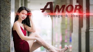 Tamiga amp 2Bad  Amor  Official Visualizer Extended Lyrics [upl. by Leelahk513]