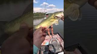 My WIFE kicks my tail every time we go 🤦🏽‍♂️ wife women fishing mother [upl. by Aznaed620]