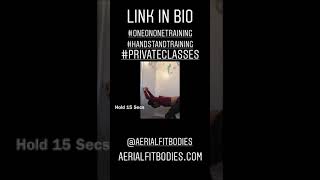 Private Handstand Sessions with Shenea Stiletto [upl. by Nortyad]