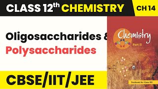 Class 12 Chemistry Chapter 14  Oligosaccharides and Polysaccharides  Biomolecules 202223 [upl. by Kistner]