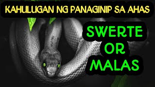 KAHULUGAN NG PANAGINIP SA AHAS SWERTE BA O MALAS  INTERPRETASYON NG PANAGINIP [upl. by Crowe]