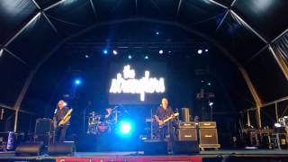 The Stranglers  Skin Deep live Santo Tirso [upl. by Ambros684]