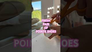 BREAKING IN POINTE SHOES asmrballerinapointeshoesnovemberdancerballetnewballetdancer [upl. by Anide]