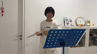 Mozart Flute Quartet No 1 in D major 3rd movt Rondo K285 [upl. by Nalahs]