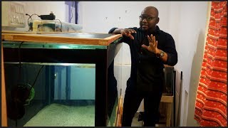 Water Cycling for a New tank  Beneficial bacteria growth Tips [upl. by Swirsky]