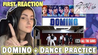 WHAT IS THIS DANCE DUDE Stray Kids  DOMINO 가사  Dance Practice  REACTION [upl. by Nortad]