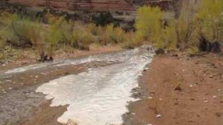 Flash flood little things in the Maze Canyonlands Utah  Part II [upl. by Nylidam]