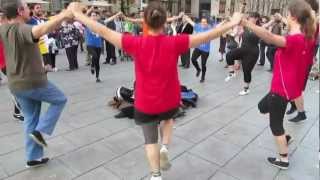 La Sardana  Danza en las calles de Barcelona [upl. by Hama9]