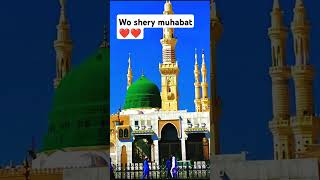 Wo shary muhabat ❤️❤️❤️trending muhammad madina viralvideos shorts freepalestine🇵🇸 [upl. by Mitman]