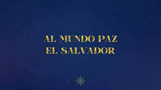 Al Mundo Paz Nació Jesús Especial para navidad  Didier Romaña [upl. by Neo415]