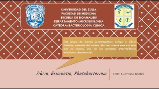 TEMA 10 Vibrio Grimonthia Photobacterium y Aeromonas [upl. by Valli601]