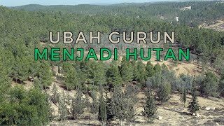 Israel Ubah Gurun Menjadi Hutan studiobiangkala studiobiangkala [upl. by Lee]