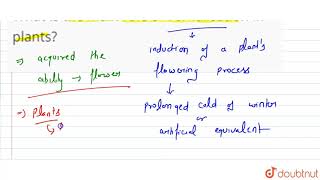 What is the main role of vernalisation in plants [upl. by Koerlin150]