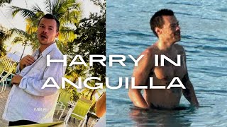 HARRY STYLES IN THE CARIBBEAN JANUARY [upl. by Atikram]