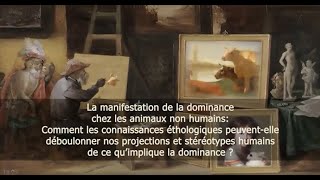 La manifestation de la dominance chez les animaux non humains [upl. by Gnem]