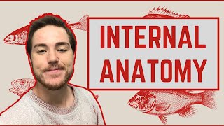 Ichthyology Lesson 4  Internal Anatomy [upl. by Wasserman760]