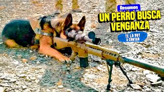 👆 DURANTE 12 AÑOS UN PERRO ES ENTRENADO PARA SER LET4L Y BUSCA VENGANZA POR SU DUEÑO  RESUMEN [upl. by Javler]