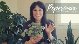 Peperomia  Complete Care amp Propagation Guide [upl. by Sirtimed]