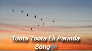 Toota Toota Ek parinda 🐦song🎶viral🔥💯🔥🔥😎💯All is well 😊 [upl. by Hammad675]