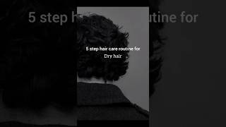 Hair Care Routine for Dry Hair  Hair Care Routine  LITTLE TIPS haircareproducts dryhair shorts [upl. by Winters95]