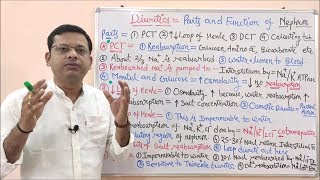 Diuretic Part 02 Parts and Functions of Nephron  Urine Formation Steps  Diuretics Pharmacology [upl. by Landers969]