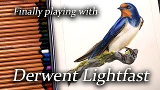 Drawing with Derwent Lightfast pencils [upl. by Bryana]