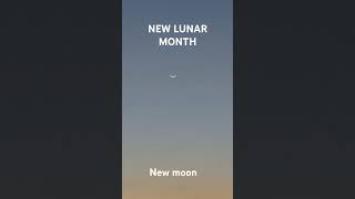 Sighting the moon for the lunar month nature [upl. by Maximilien]