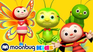 Bugs Bugs Bugs Bugs  LBB Songs  Learn with Little Baby Bum Nursery Rhymes  Moonbug Kids [upl. by Rodriguez926]