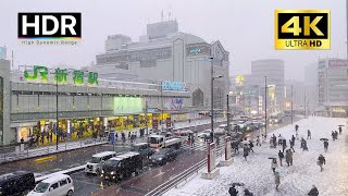 Tokyo Walk  Snowy day in Tokyo Shinjuku Japan  4K HDR [upl. by Grados880]