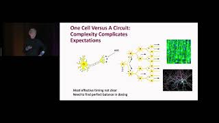 What We Are Learning About Ion Channels  2024 Nanorare Patient Colloquium [upl. by Ikram]