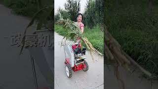 part 75KuaiShouCreatorPhotosynthetic PlanPortable Branch Straw Crusher The powerfree mower [upl. by Nyvar218]