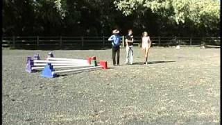 Pro Tips for Cavaletti Training – How to Space Cavaletti Horse Jumps [upl. by Ihcekn]