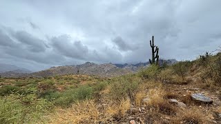 Hiking in the rain and found￼ some￼Hohokam ￼pottery [upl. by Alidis]