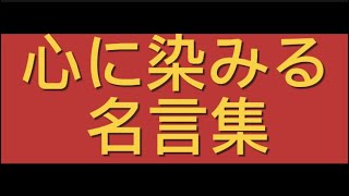 【名言集】感動の名言集  人生を変える言葉たち [upl. by Steffie]