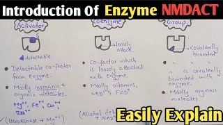 Introduction Of Enzyme  NMDCAT 2022  Enzyme [upl. by Aurilia]