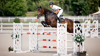 FOR SALE  Coralyn  2017 mare Caesar x Con Air wwwsalesporthorsescom [upl. by Oidualc]