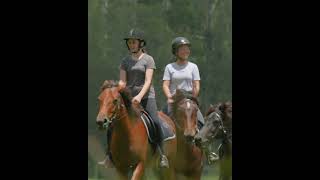 Horse Riding Lessons at Glenworth Valley [upl. by Naujid]