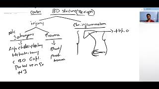 Bile duct Injuries [upl. by Kanya]