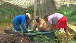 Reportage sur lîle de Mayotte [upl. by Cuttie]