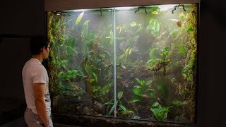 300 GALLON CLOUD FOREST TERRARIUM [upl. by Head]