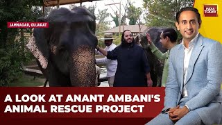 Anant Ambanis Animal Rescue Mission Unveiled on Jab We Met With Rahul Kanwal  India Today News [upl. by Orteip]