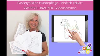 Zwergschnauzer  einfach erklärt  Videoseminar Teaser [upl. by Ennairoc]