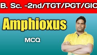 Amphioxus Branchiostoma MCQ B Sc 2nd yearTGT PGT BIOLOGYGIC NEET BIOLOGY [upl. by Pine]