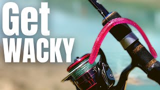 3 WACKY RIG Tips That Will IMPROVE Your BASS FISHING [upl. by Fidel]