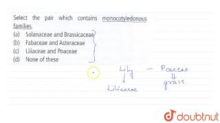 Select the pair which contains monocotyledonous families [upl. by Onairda]