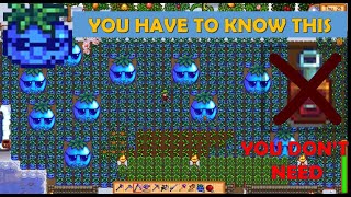 MrQis Fruit Giant Crop Secret Tip  Stardew Valley 16 [upl. by Idoc]