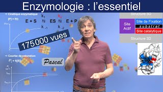 Enzymologie  lessentiel de ce quil faut en savoir [upl. by Cima]