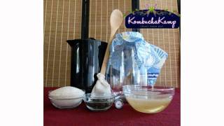 Kombucha Recipe  5 Simple Steps How To Make Kombucha Tea with Kombucha Kamp [upl. by Griffie]